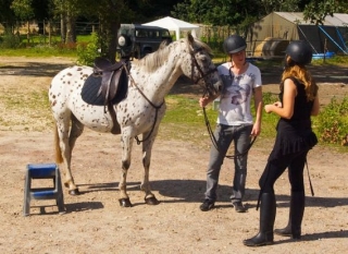  Clases de equitación en Nemours 